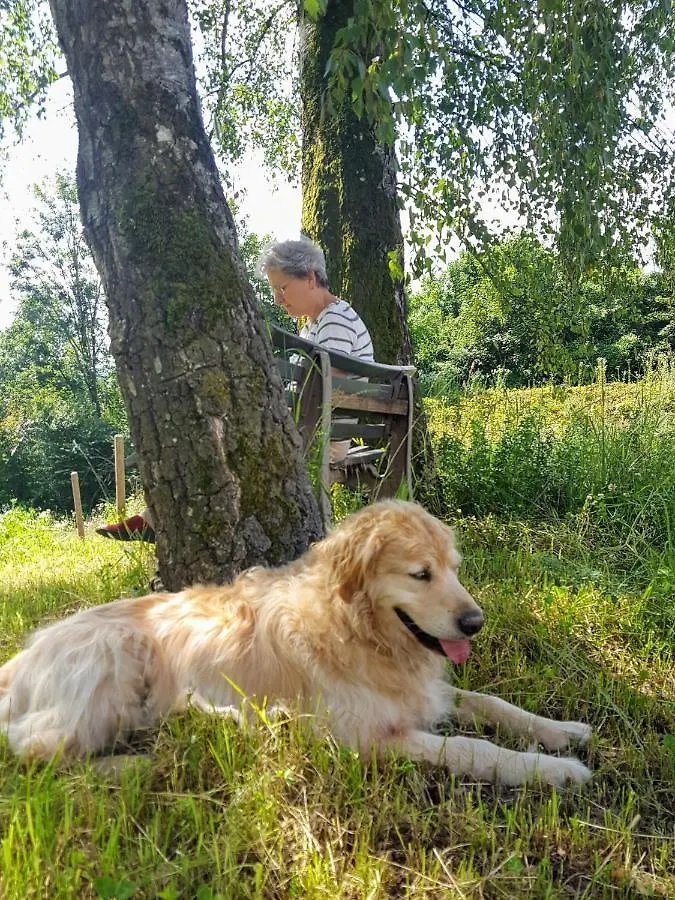 Sunhill Appartments, Klimatisiert Winhoring 0*,